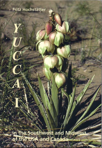 Yucca 1